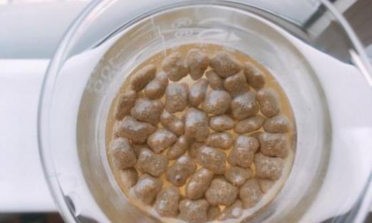 猫咪羊奶怎么泡猫粮好吃又简单？最佳比例是多少？