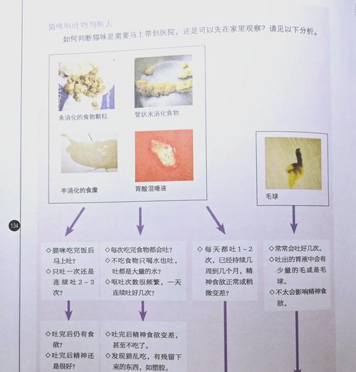 猫咪吃了面条和猫粮后呕吐怎么处理？