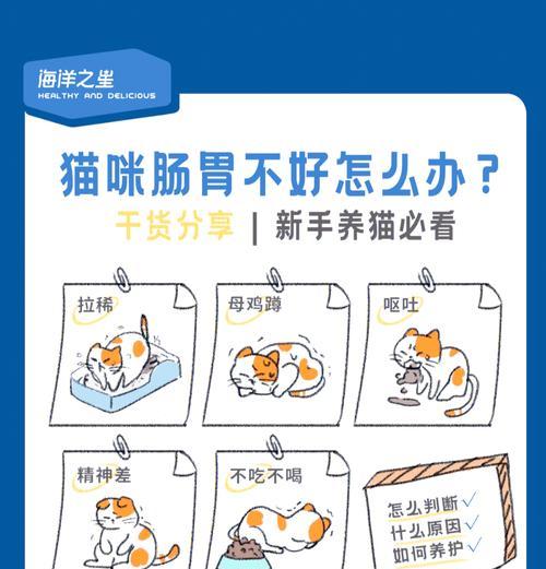 猫咪肠胃炎时如何喂食猫粮？注意事项有哪些？