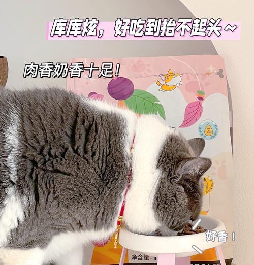 幼猫误食成年猫粮的后果是什么？