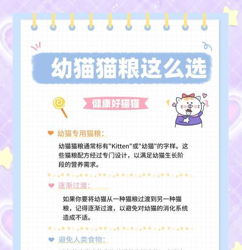 小猫成长初期应选择哪种猫粮？