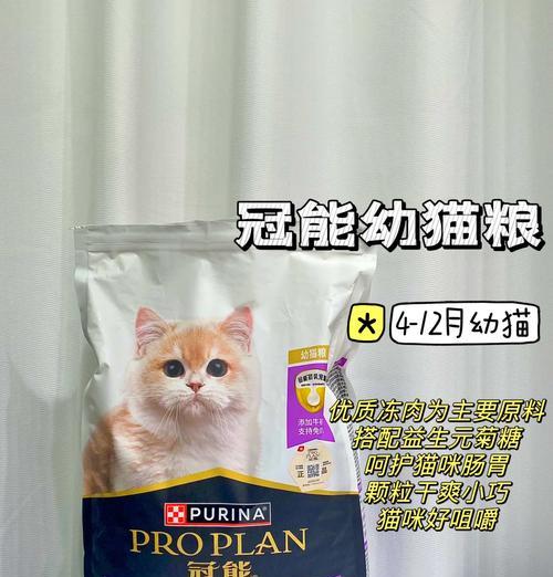 小猫成长初期应选择哪种猫粮？