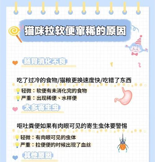 猫咪拒食猫粮便秘怎么办？
