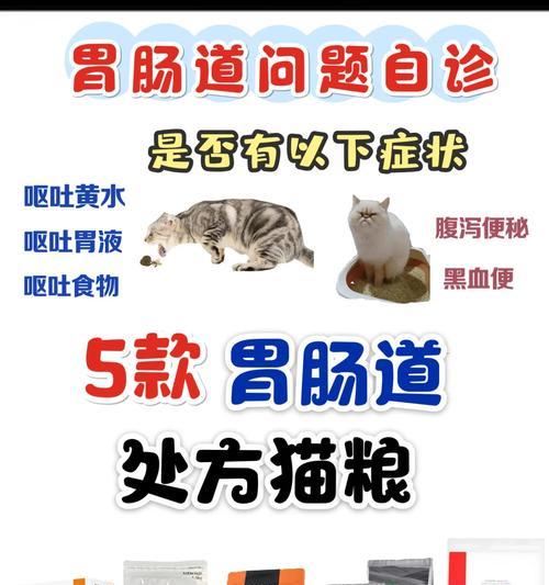 猫咪拒食猫粮便秘怎么办？
