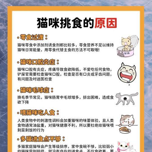 猫猫不吃饭是什么原因？如何提高食欲？