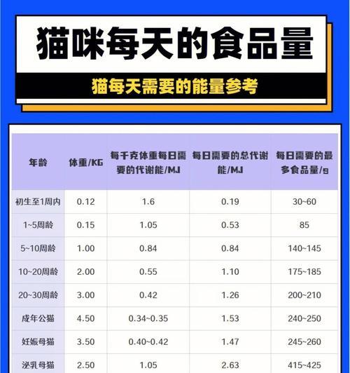 猫咪猫粮的最佳喂食时间是什么时候？如何正确喂食？