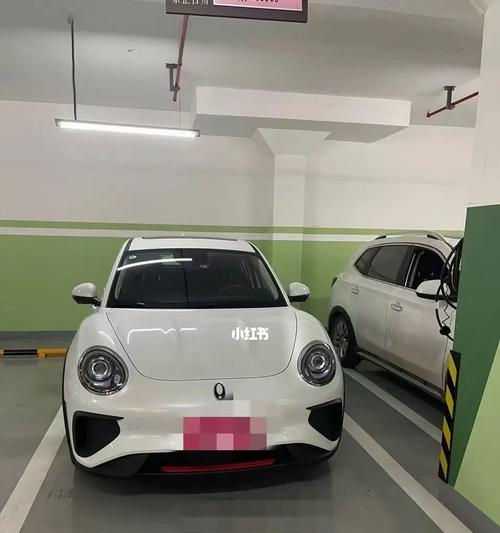 欧拉猫如何喂猫粮？欧拉猫的喂养方法是什么？