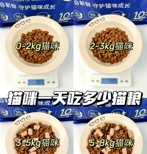 欧拉猫如何喂猫粮？欧拉猫的喂养方法是什么？