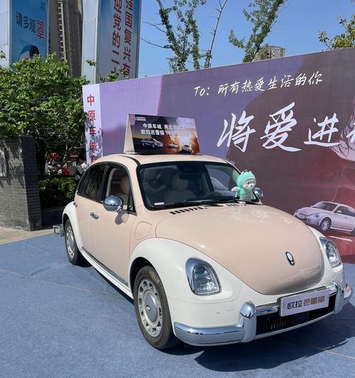 欧拉猫如何喂猫粮？欧拉猫的喂养方法是什么？