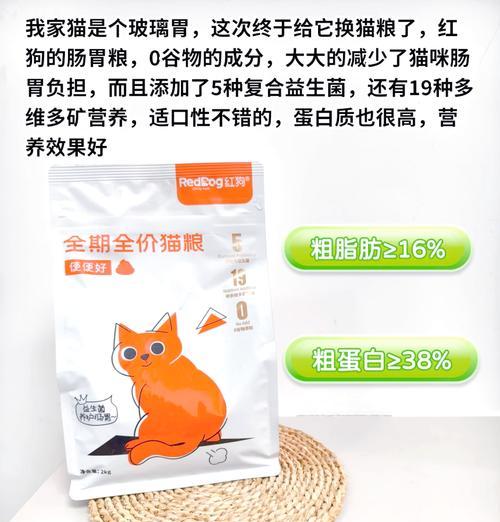 囤猫粮如何防盗？有哪些安全措施？