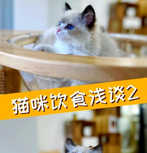 来了姊妹拒绝猫粮怎么回事？如何处理猫的饮食问题？