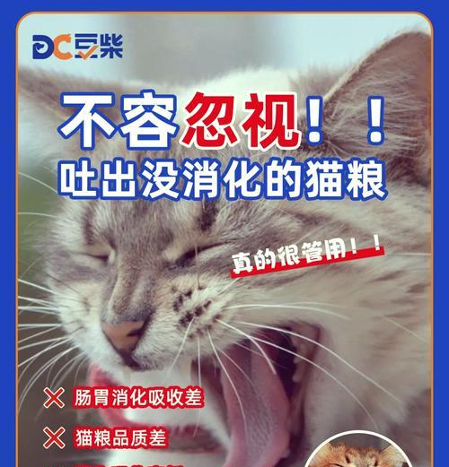 来了姊妹拒绝猫粮怎么回事？如何处理猫的饮食问题？