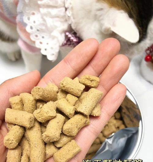 肉末怎么制成猫粮呢？制作方法是什么？