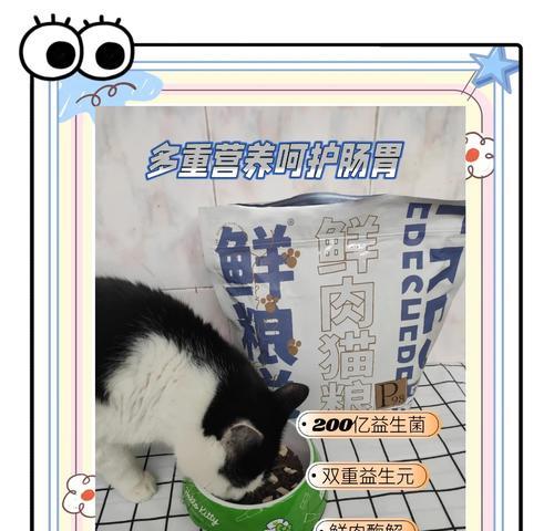 肉末怎么制成猫粮呢？制作方法是什么？
