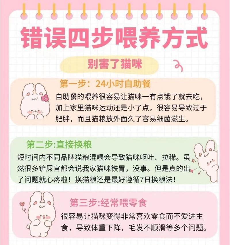 猫咪如何从干粮过渡到湿粮？过渡期需要注意什么？