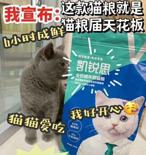带图案的盘子猫粮有何特别？它们的成分是什么？