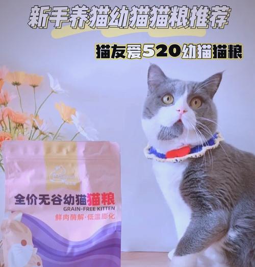 两个月大的幼猫适合哪种猫粮？如何选择？