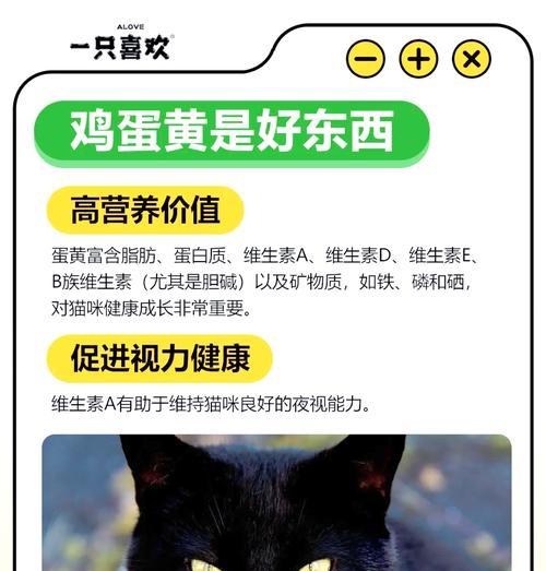 成年猫猫粮中缺少蛋黄如何补充？有哪些替代品？