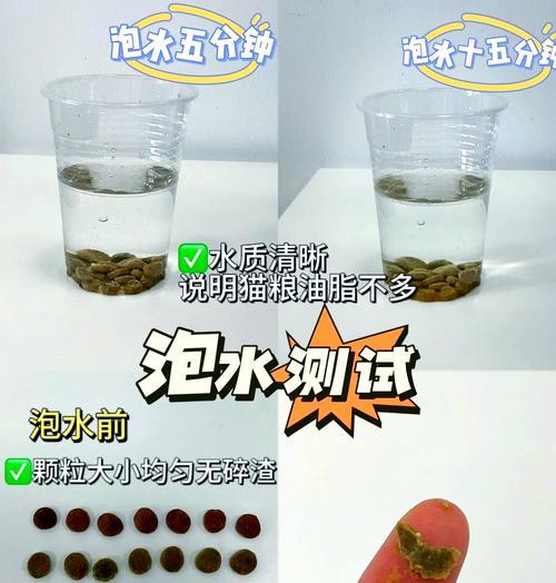 醇粹幼猫粮的正确喂食方式是什么？