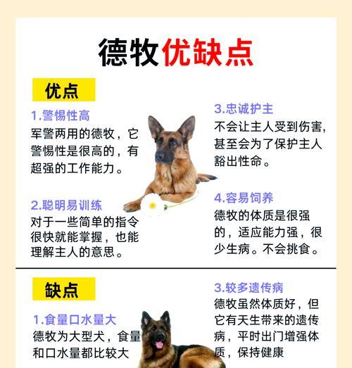 德牧剃毛需要多少钱？剃毛后如何护理？