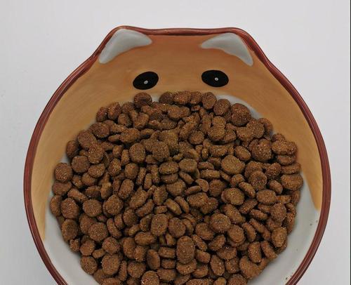 4个月大的猫吃什么猫粮？羊驼没上牙怎么吃食物呢？