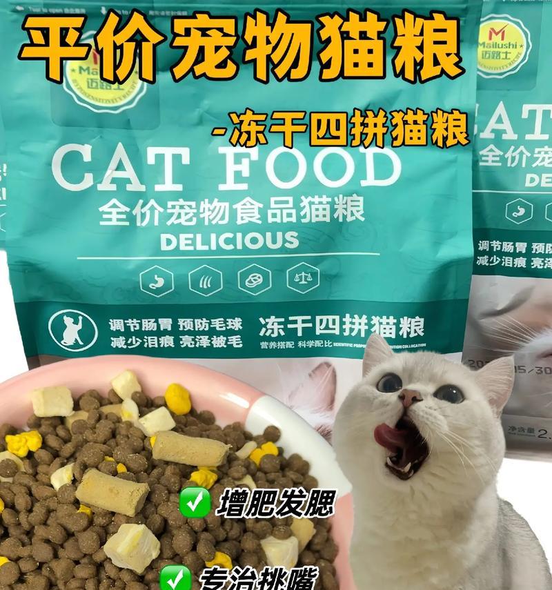 4个月大的猫吃什么猫粮？羊驼没上牙怎么吃食物呢？