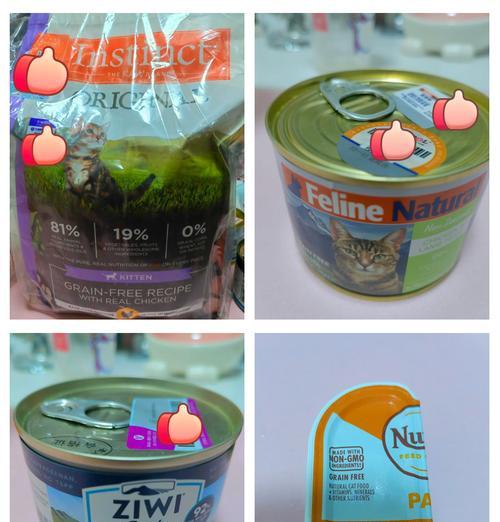 狸花猫扒猫粮的正确喂食方法是什么？