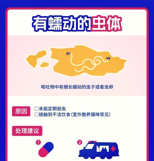 幼猫吐未消化猫粮的解决方法是什么？