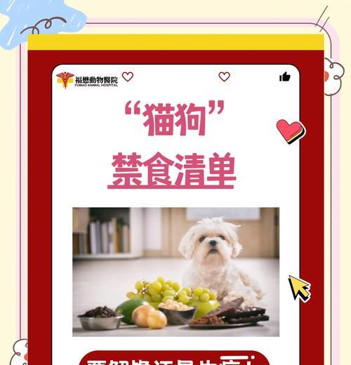 外卖小哥偷吃猫粮该如何处理？如何防止此类事件再次发生？
