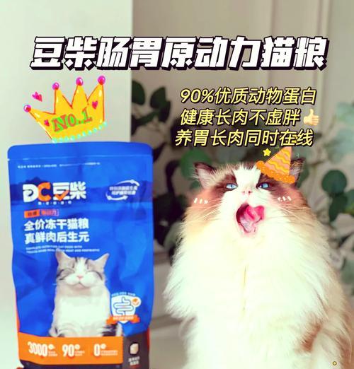 蓝猫食用布偶猫粮后腹泻的解决方法？