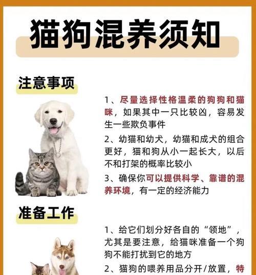 狗偷吃猫粮后打它会有改善吗？这样做对宠物有什么影响？