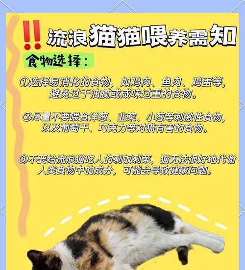 流浪猫食用救济粮会死亡吗？原因是什么？