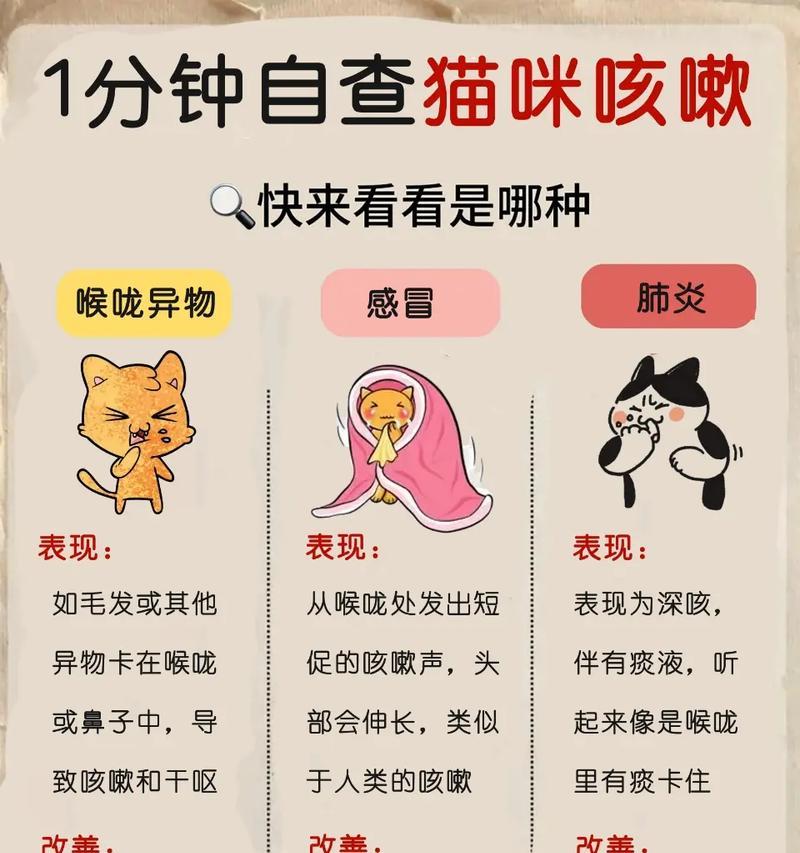 小猫咳嗽吐猫粮是什么原因？