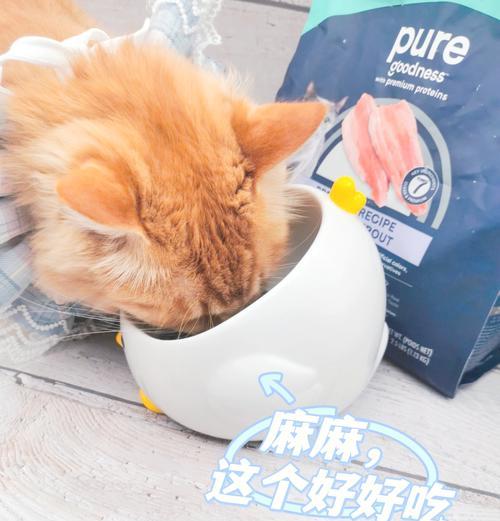 吃猫粮拉屎会臭吗？原因是什么？