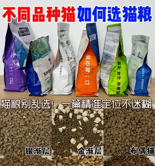 法国猫粮发臭的原因是什么？如何处理发臭的猫粮？