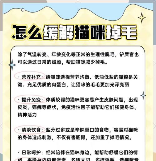 如何选择减少猫咪掉毛的猫粮？有效减少掉毛的猫粮有哪些？