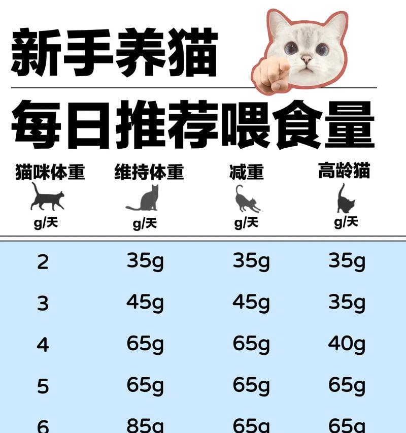 猫咪高血脂应选择哪种猫粮？如何通过饮食控制体重？