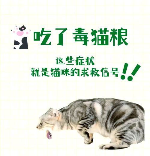 猫粮有人投毒吗为什么？如何确保猫粮的安全性？