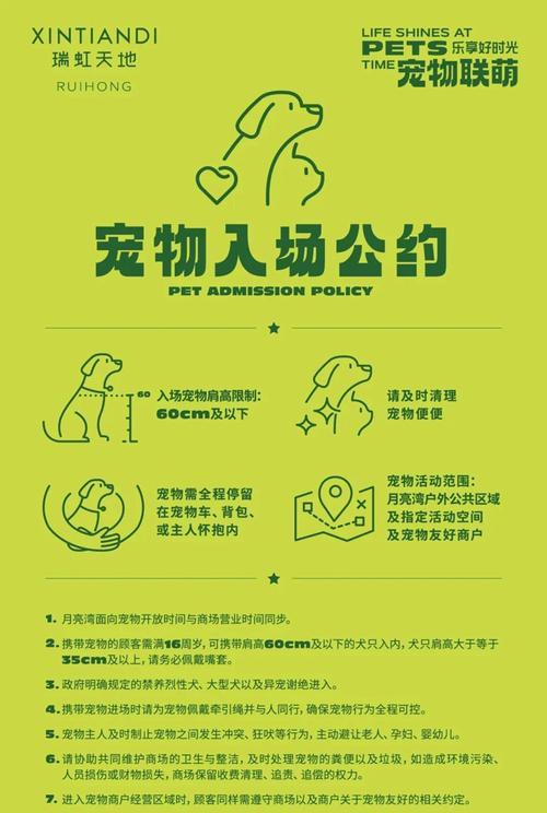领养宠物时应该注意哪些事项？如何确保宠物适应新环境？