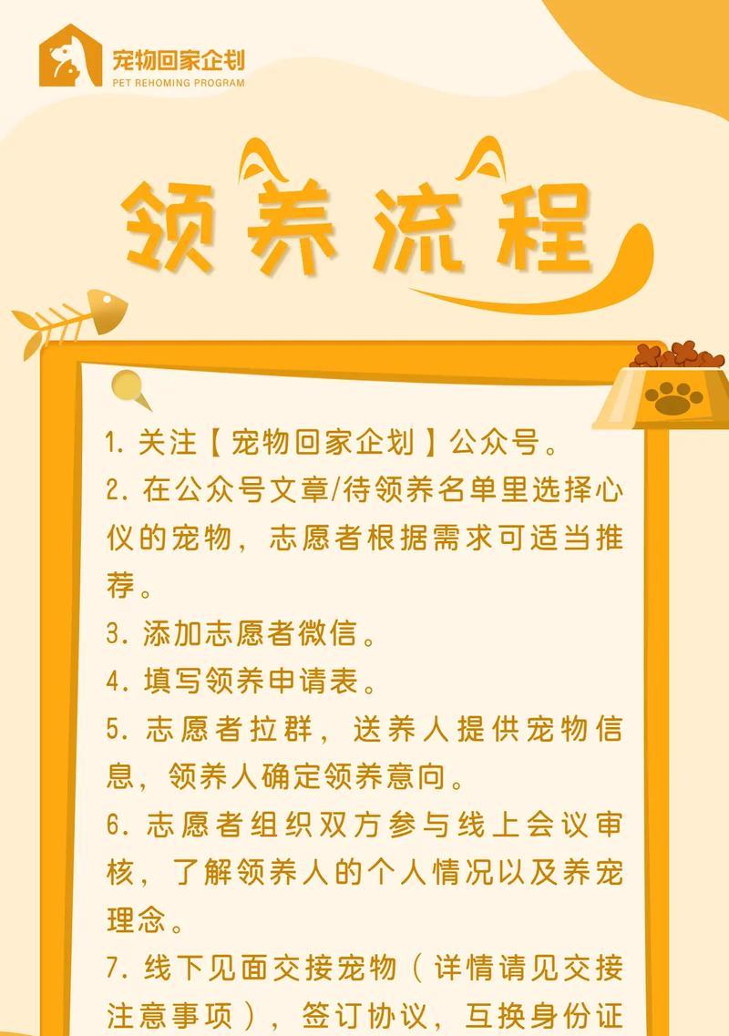 领养宠物时应该注意哪些事项？如何确保宠物适应新环境？