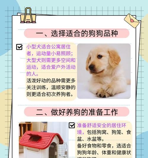 领养宠物时应该注意哪些事项？如何确保宠物适应新环境？