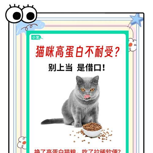 高蛋白猫粮导致腹泻的解决方法？