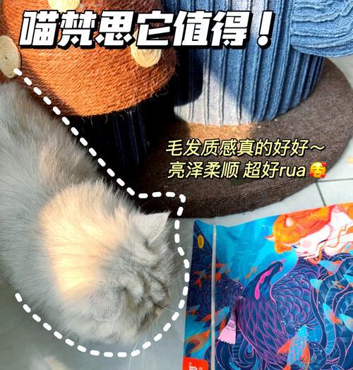 喜喵蓝包猫粮打开方法是什么？