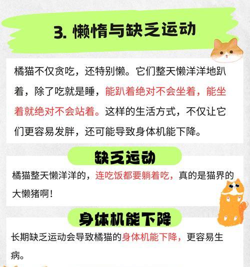 橘猫护食不让其他猫吃猫粮怎么办？如何解决？
