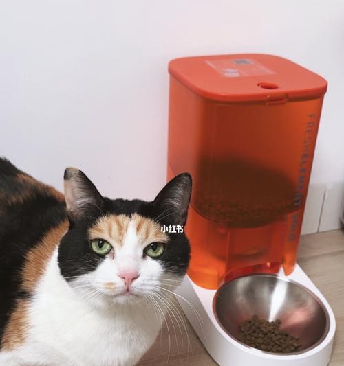 选择猫粮按压出粮器的标准是什么？哪种出粮器更适合多猫家庭？