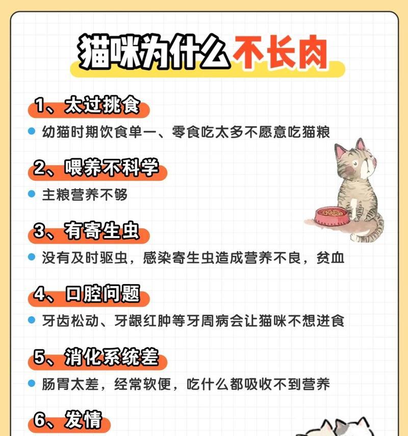 猫咪肠胃炎应如何用药？换粮引起的问题怎么解决？