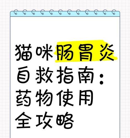 猫咪肠胃炎应如何用药？换粮引起的问题怎么解决？