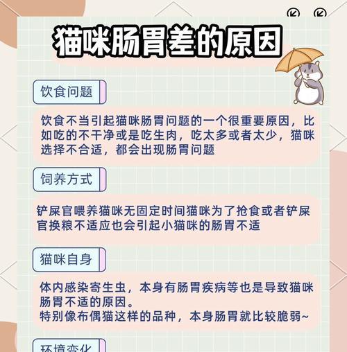 猫咪肠胃炎应如何用药？换粮引起的问题怎么解决？