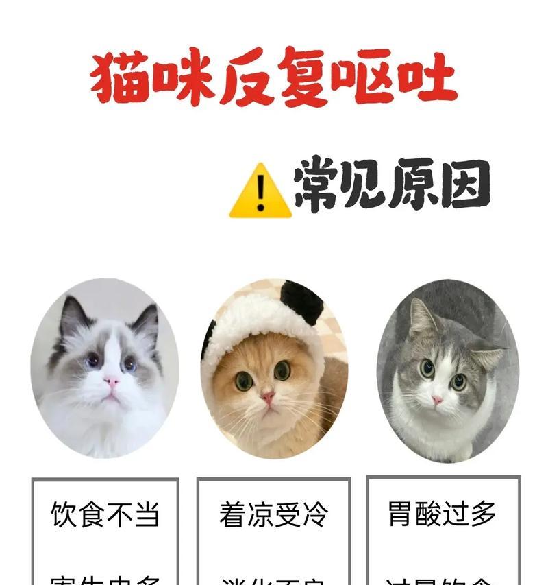 小猫到了冬天吐猫粮怎么回事？冬季猫咪呕吐的可能原因是什么？