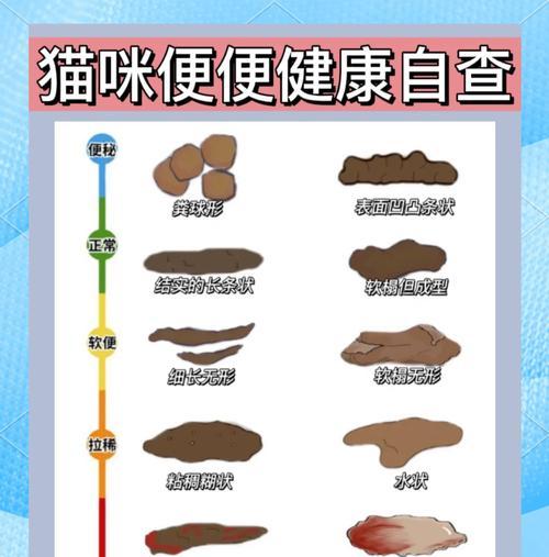 如何通过猫粪便判断猫粮质量？有哪些观察要点？